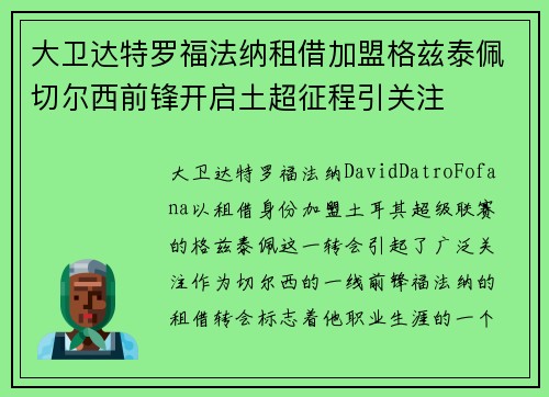 大卫达特罗福法纳租借加盟格兹泰佩切尔西前锋开启土超征程引关注 大卫达特罗福法纳租借加盟格兹泰佩切尔西前锋开启土超征程引关注
